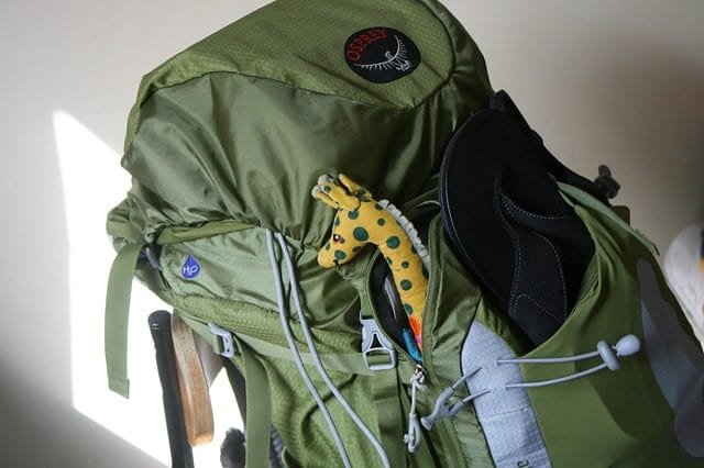 best backpack for disney